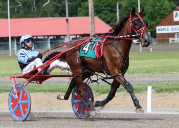 Tardif Taskforce poised for big day