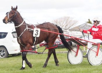 Art Major two year old wins impressively on debut