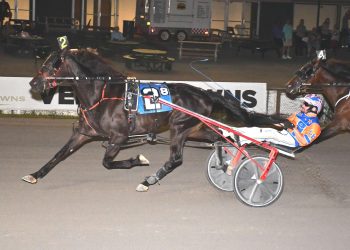 Discus Hanover tosses aside Open rivals