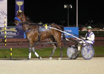 Donmaro ready to rumble in Harness 7000 feature