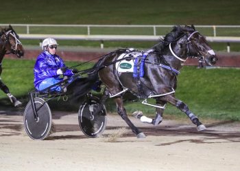 First blood to OK Boomer in Sires Stakes heat