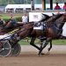 Treacherous Dragon up in time to win $205,100 Jugette