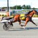 Pacing colts kick off DSBF