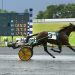 Napolitano Jr wins eight, Liberty Bell stakes conclude 2