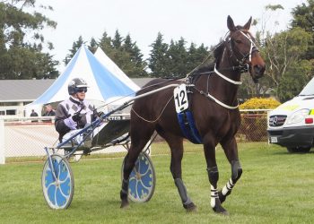 Inaugural Jasmyn’s Gift won by Pegasus Spur mare