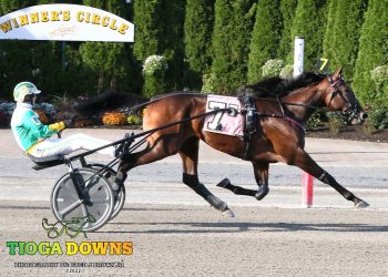 Seven Reynolds divisions held at Tioga Downs