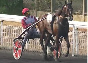 Six Groupe II and III races highlight today’s Vincennes card