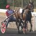 Six Groupe II and III races highlight today’s Vincennes card 1 Six Groupe II and III races highlight today’s Vincennes card