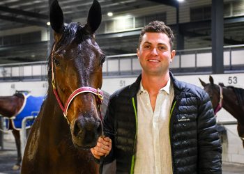 Trainor making Sydney his own