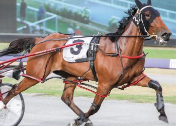 Lady Jadore tops ton