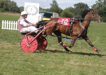 Welsh trotting season comes to a close