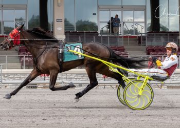 Accident doesn’t faze Lindys Irishcream in Keystone