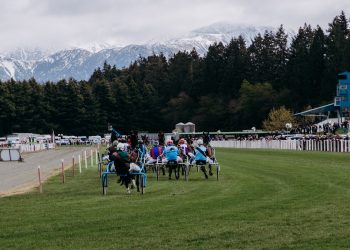Grass track harness racing returns to Methven this weekend