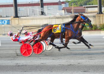 Photo finish camera needed in Harrington Open