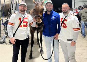 Six on end for Tintin three-year-old