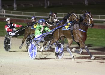 Muscle Mountain starts on a perfect note