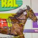 Sweet Lou youngsters claim $215,000 Group 1 double