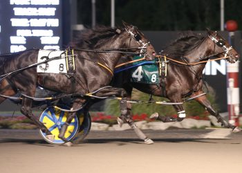 Millar Farms OSS filly dominance continues
