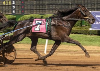 Prince Of Honor looking to remain perfect at Red Mile