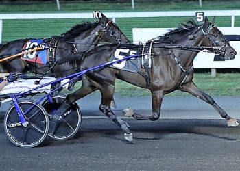 Quick Stop is ready to go in NJ Classic