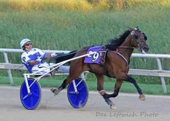 Late rally works out for A Major Omen