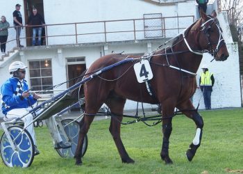 Son of Captaintreacherous wins impressively on debut