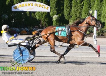 Mach Three gelding scores in feature