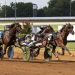 Kentucky bill to replace Horse Racing Commission 1 Rebuff continues quest for a Kentucky Championship