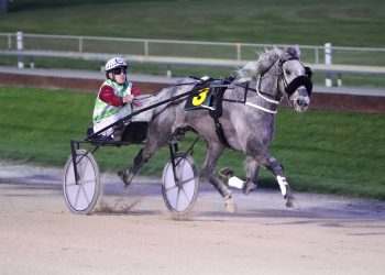 Smokin Bandar opens winter campaign tonight