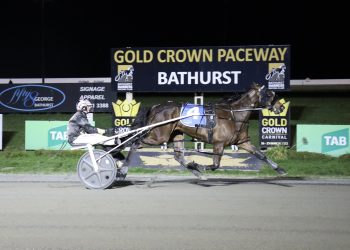 Another Breeders Challenge winner by ‘Needy’