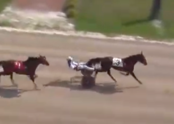 Darbyshire defeats Grassroots rivals again