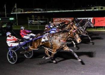Record prize incentives for NSW Breeders Challenge
