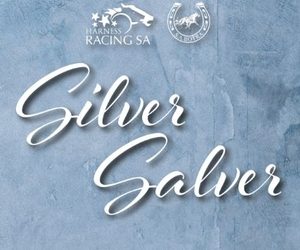 Entries invited for Silver Salver Yearling Sale