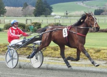 Streaming Live wins for Petra Luzumova