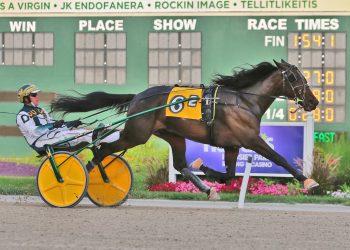 Freshman trotters battle in Indiana Sire Stakes