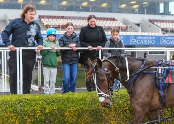 Pulley full of optimism for harness racing in New Zealand