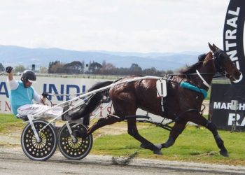 Dewe gets his training career off to the perfect start