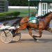 P.E.I. Colt Stakes doubleheader Saturday
