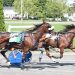 Make-up day held for Maine Breeders Stakes