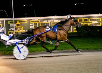 Filly handles Open against older mares