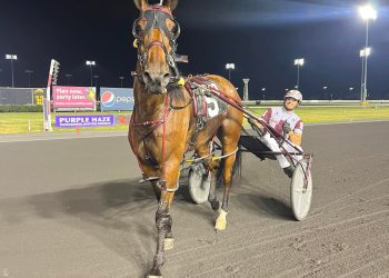 Is it luck or does he have a recipe for success?