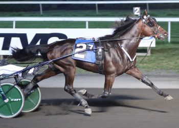 Muscle Hill colt just misses track record