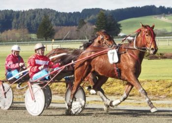 Black chalks up his one hundredth winner