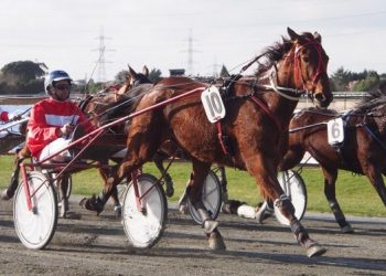 Impressive return for Wai Key Wee