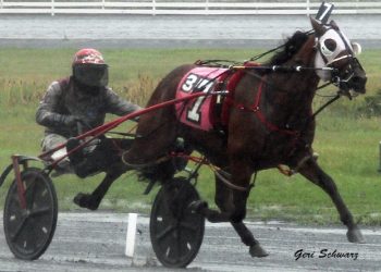 NY County Fair Finals held at Monticello Raceway