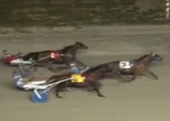 Brodys Scrapper returns successfully