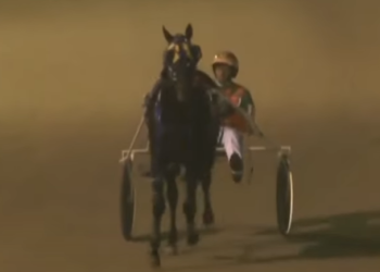 Twin B Tuffenuff fastest ever at Truro