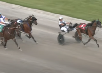 Shanghai Ky holds off Prospect Series leader