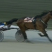 Grandeur Seelster romp highlights final Grassroots prelim
