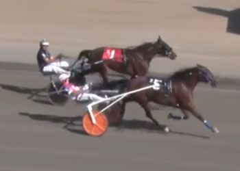 Betcha Baby circles field, upsets